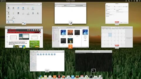 Os 8.0
