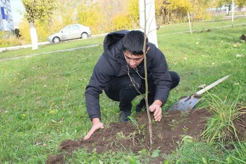 Уфа посадка