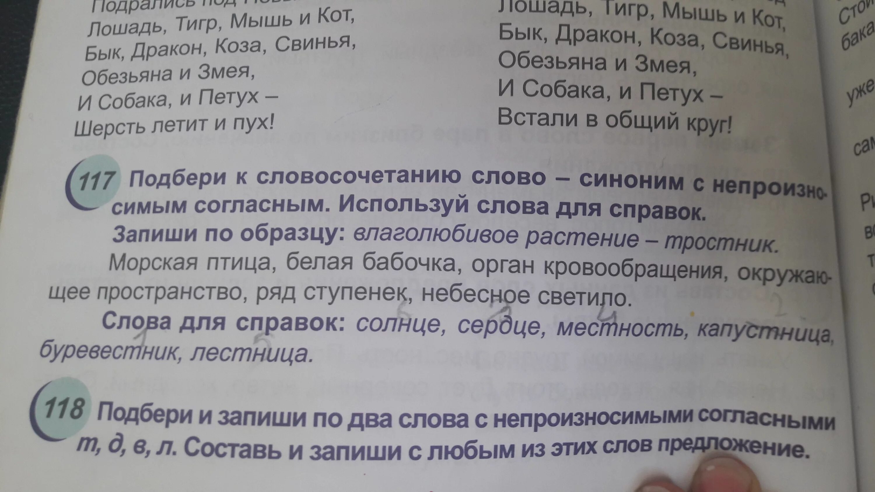 Глагол слова светит