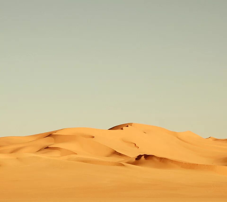 Beautiful desert