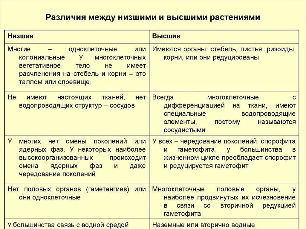 Различие между растительной. Отличительные особенности высших растений. Низшие растения и высшие растения отличия. Признаки низших и высших растений таблица. Отличие высших растений от низших.