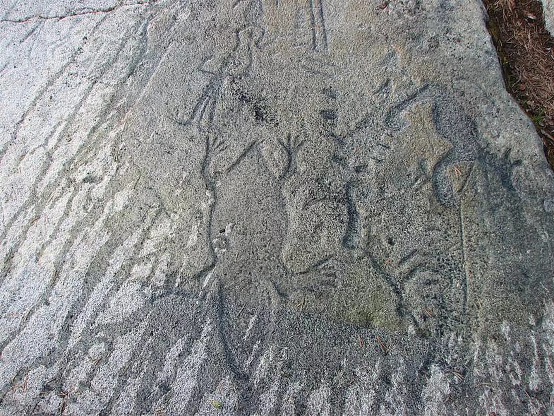 Музей наскального искусства петроглифы канозера. Петроглифы мурманск канозерские. Мурманск петроглифы канозера. Канозерские петроглифы мурманская область. Канозерские петроглифы петроглифы.
