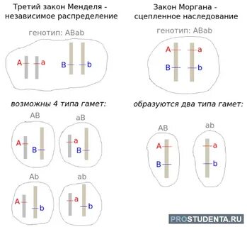 Закон о сим картах