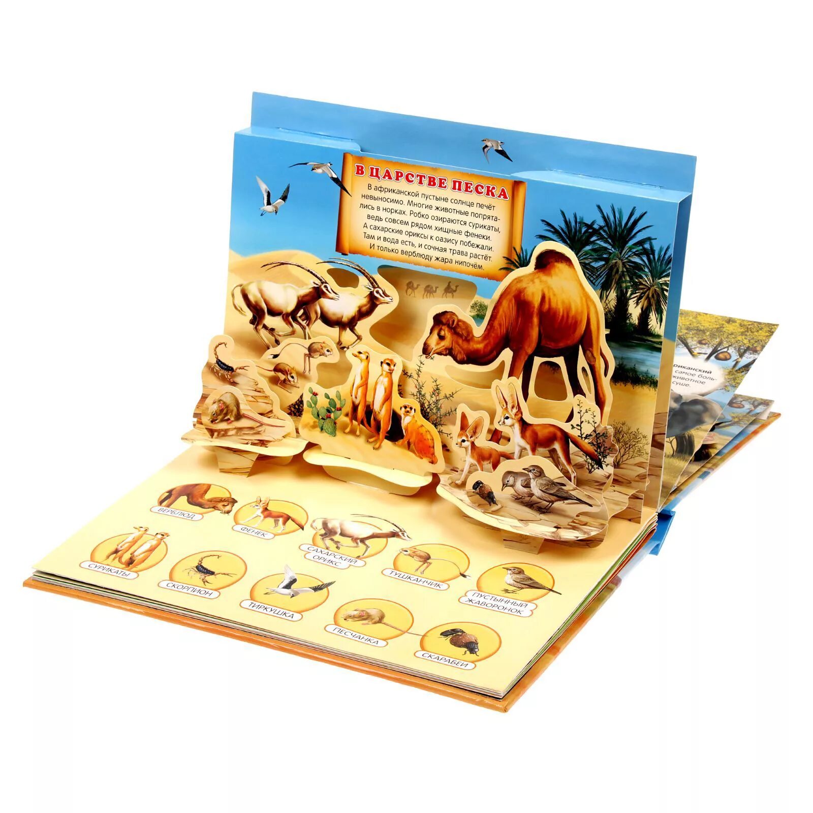 Интерактивные книжки для детей. Интерактивная книга для малышей. Интерактивные книжки для детей. Интерактивные книжки для малышей. Интерактивная книга.