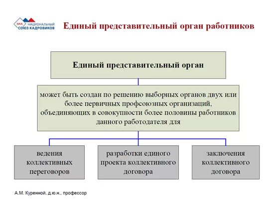 Представительный орган в учреждении. Представительный орган работников. Что такое представительский орган работников. Выборный представительный орган работников. Представительные органы работников виды.