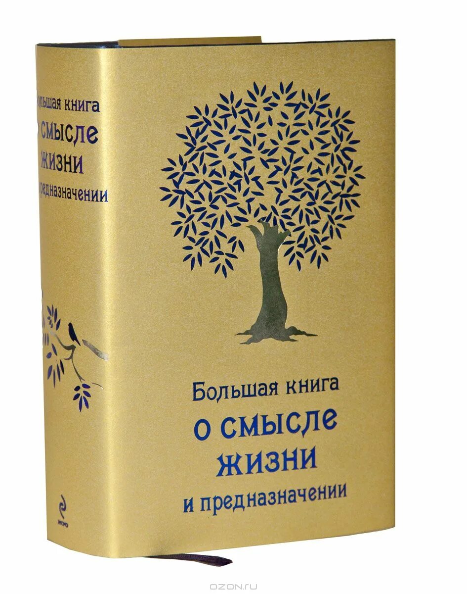 Книга без смысла. Книга смысл жизни. Книги с большим смыслом. Книга о смысле жизни и предназначении. Философская книга о смысле жизни.