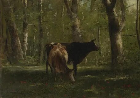 Ценный фрагмент коровы