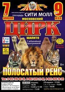 Цирк сургут сити молл 2024 расписание