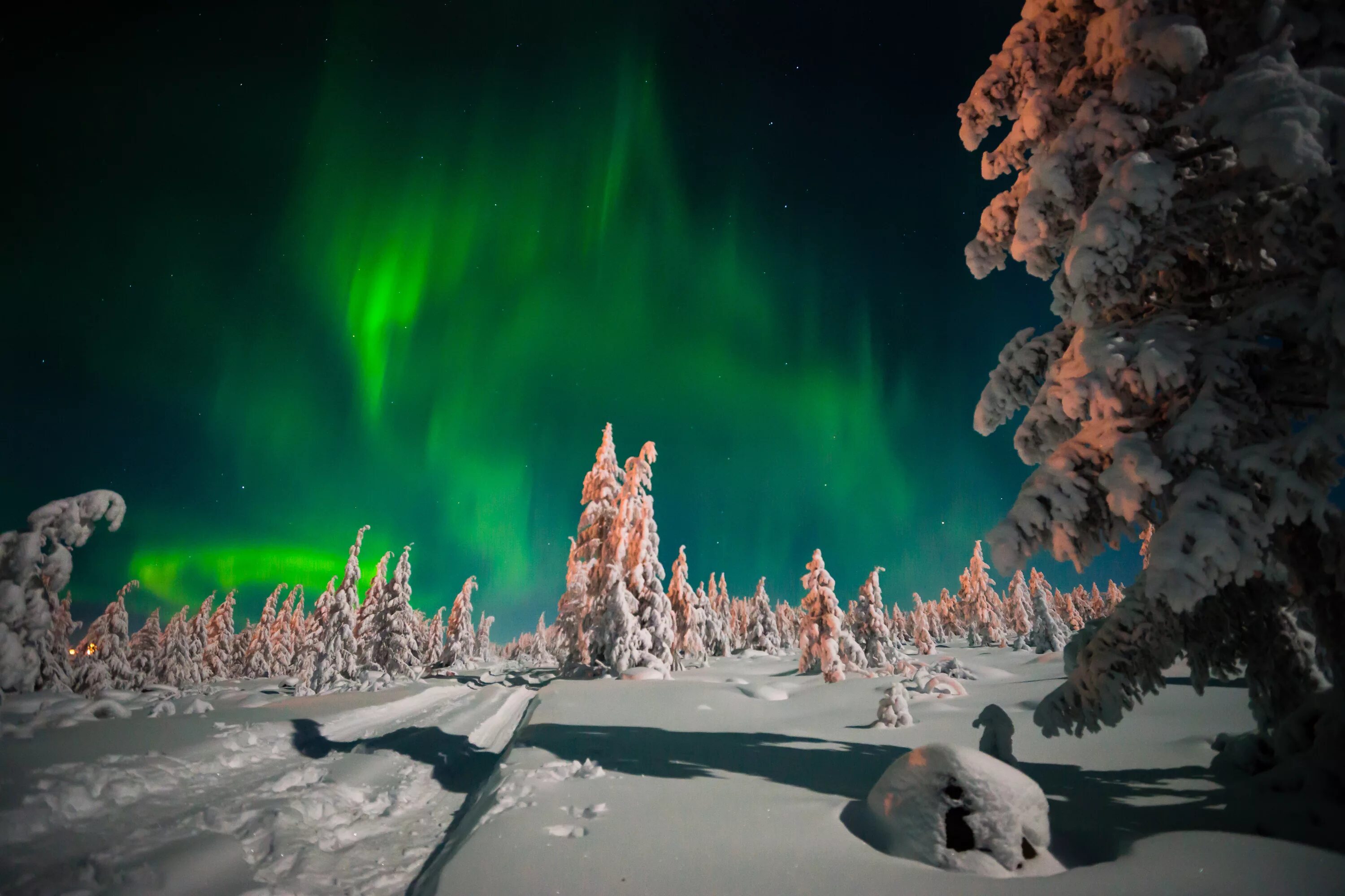 Сияние в сугробе. Природа Якутии Северное сияние. Северное сияние в Якутии. Зима Северное сияние. Северное сияние зимой.