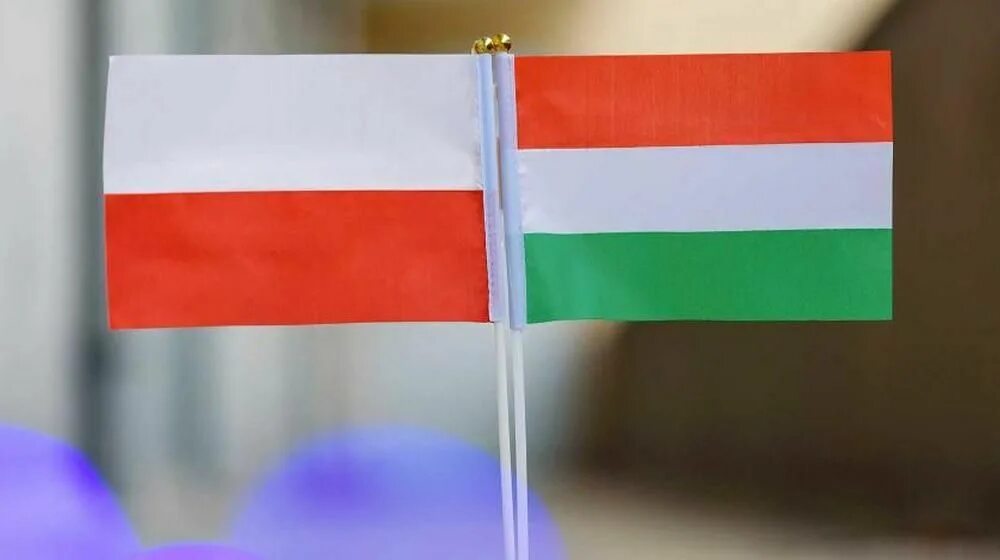 Союз россии и венгрии. Флаг Польши и Венгрии. Польша и Венгрия. Украина Венгрия Польша. Польша Венгрия флаш.