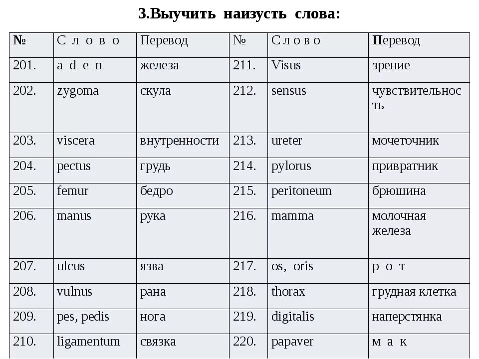 Как переводится 1 5. Латинское название языка. Болезни на латинском языке. Латинский язык слова. Заболевания на латыни.