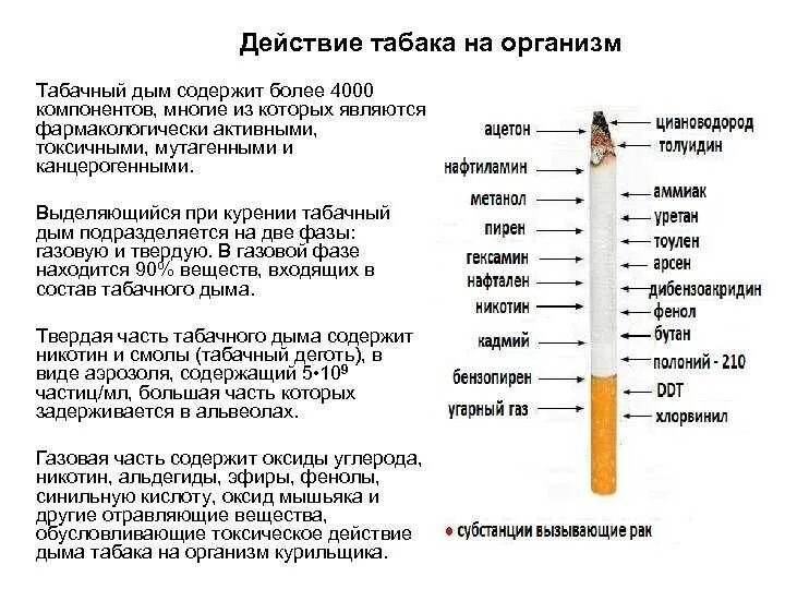 Влияние курения на организм. Что выделяется при курении. Влияние табакокурения на организм человека. Период выведения никотина из организма. Через сколько выветривается никотин от электронной сигареты