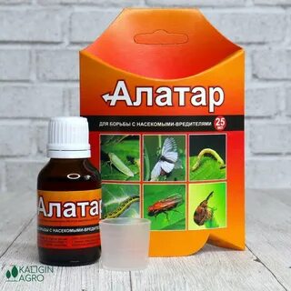 Борьба с насекомыми вредителями