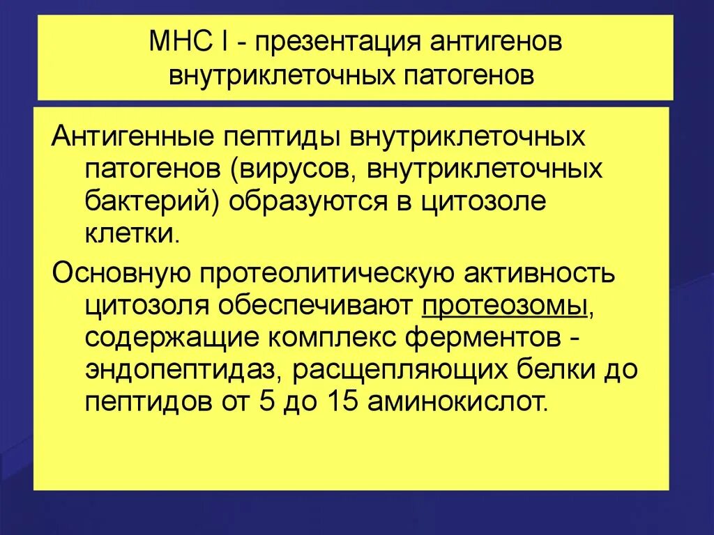 Антигены главного комплекса гистосовместимости. Mhc главный комплекс гистосовместимости. презентация антигена комплекс гистосовместимости. главный комплекс гистосовместимости человека презентация.