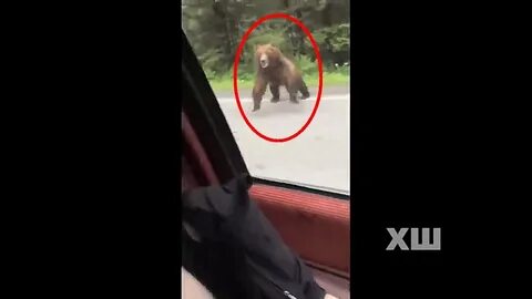 Напал на машину