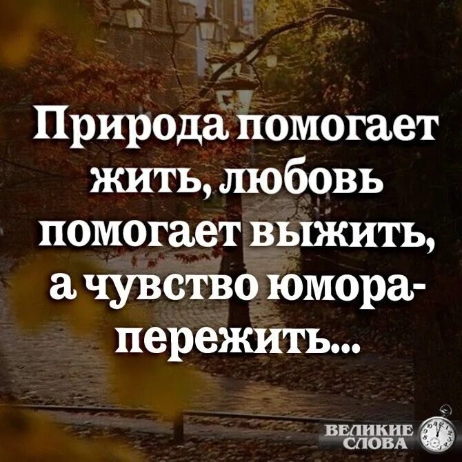 Природа помогает жить. Природа помогает жить любовь помогает. Стихи помогают жить. Природа помогает жить любовь выжить а юмор пережить. Юмор помогает жить