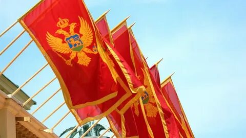 Черногория орел
