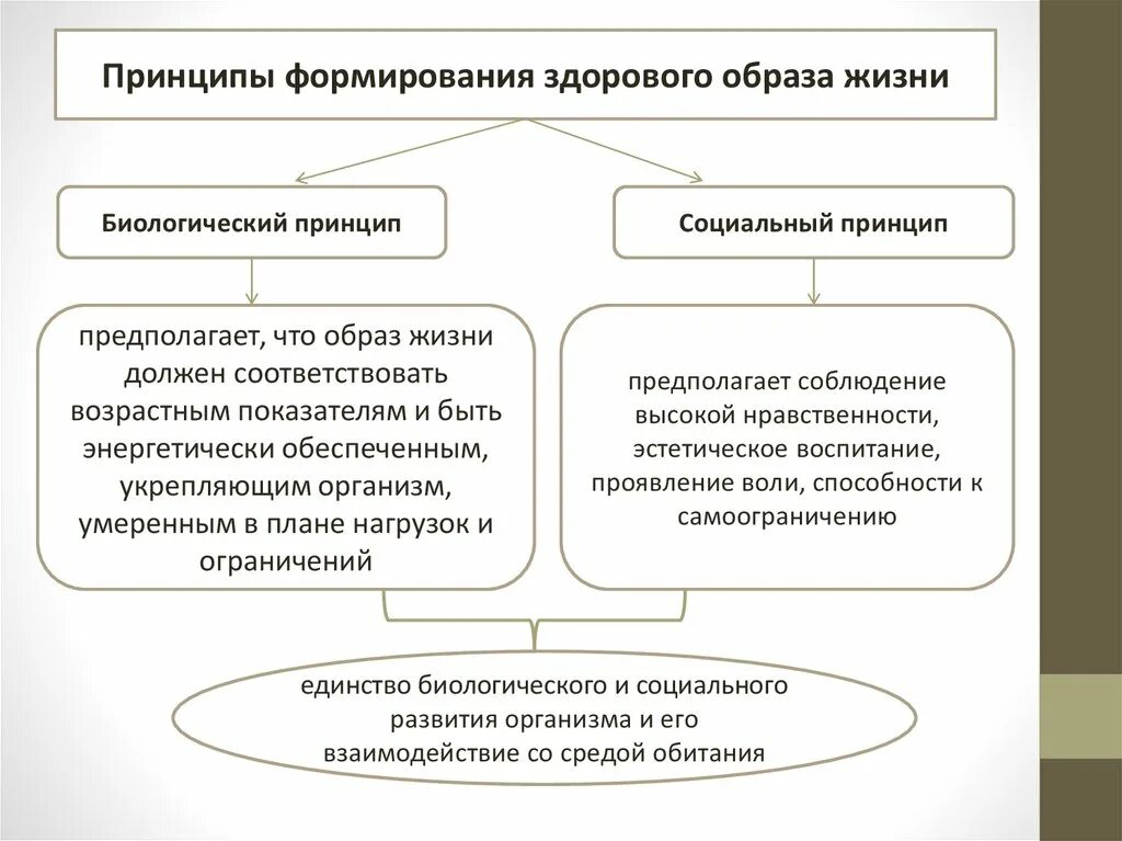 Основы законодательства рф в формировании зож