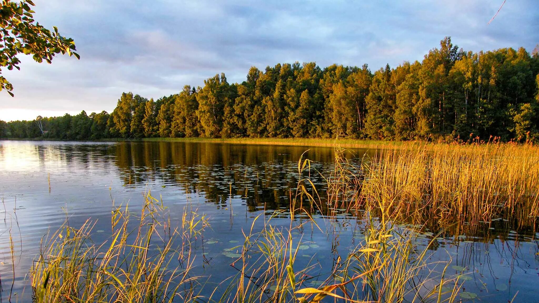 Национальный парк Смоленское Поозерье Смоленская область. Национальный парк Смоленское Поозерье озеро Чистик. Озеро Чистик Смоленская область. Смоленское Поозерье озеро Сапшо. Сайт смоленское поозерье