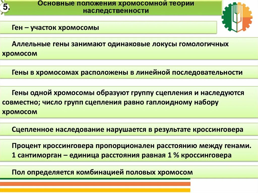 Назовите основные положения хромосомной теории наследственности. Положения хромосомной теории моргана. основные положения хромосомной теории наследственности т.моргана. основные положения хромосомной теории моргана. основные положения хромосомной теории т моргана.