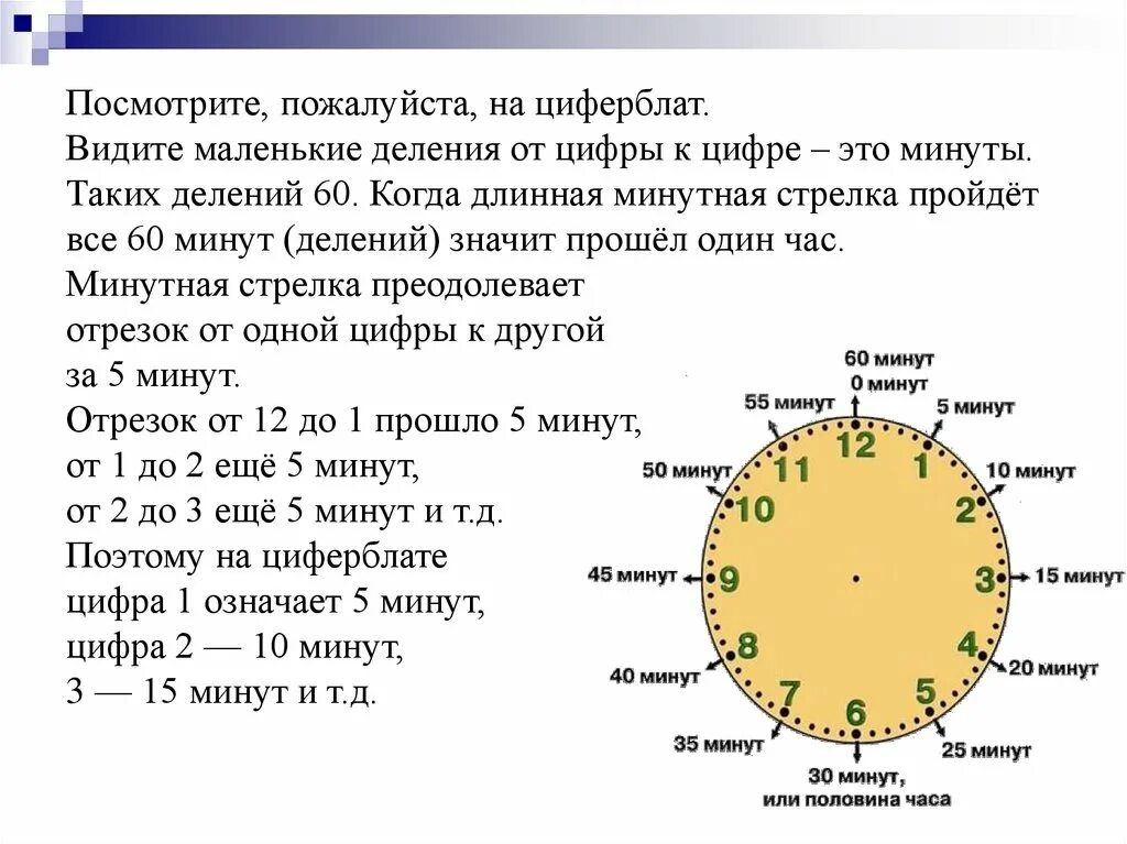 6 часов по цифрам. Циферблат с делениями минут. Одно маленькое деление на часах в минутах. Цифры когда плохо видно на циферблате. Количество малых делений на циферблате.