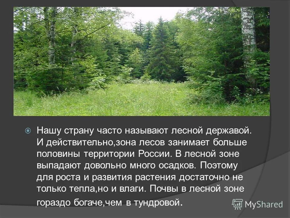 Леса половина территории россии. Лесные зоны презентация. Самую большую территорию занимают какие леса.