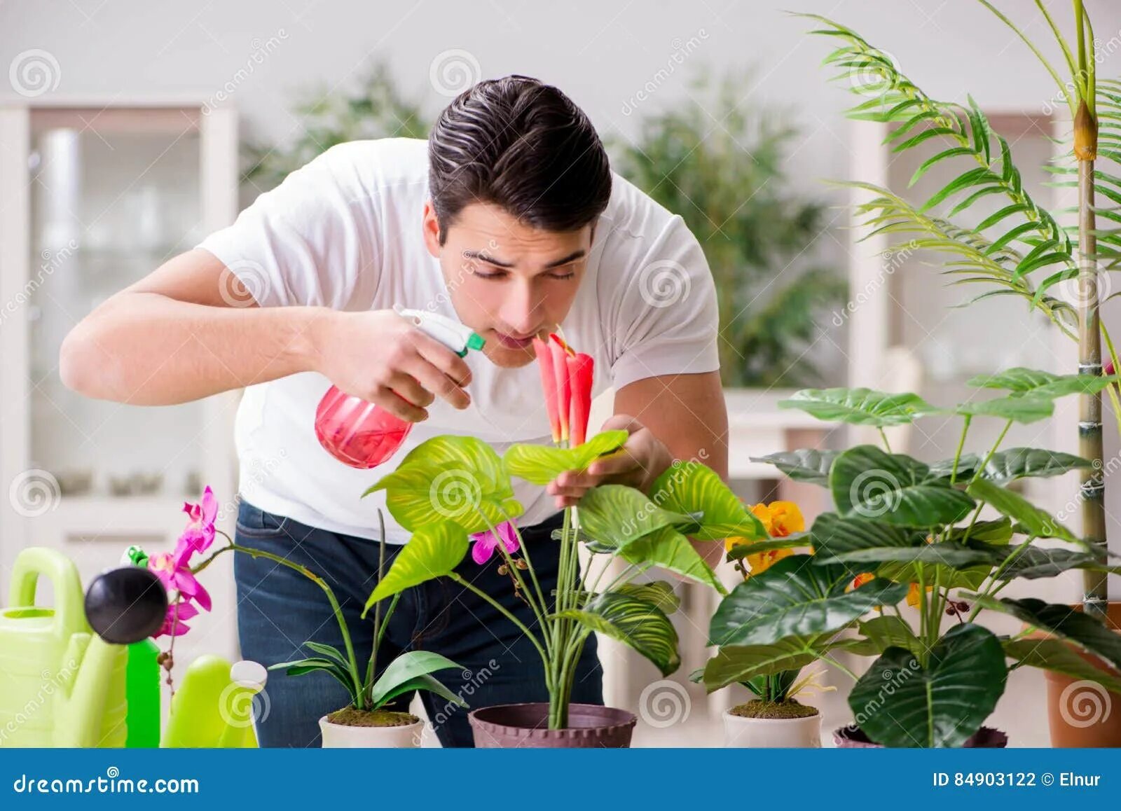 Забота о растении. Человек ухаживает за растениями. Заботиться о растениях. Специалист по уходу за растениями. Забота за растением.