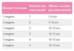 Сколько съедает новорожденный 4 месяца