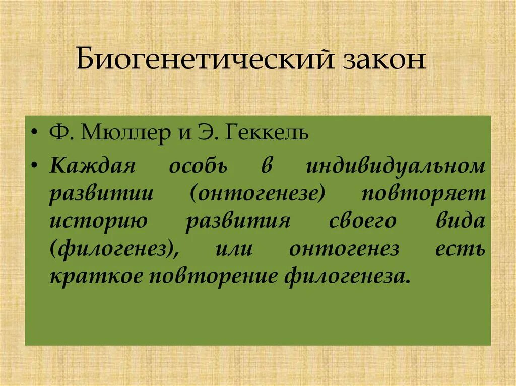 Онтогенез есть повторение филогенеза. Биогенетический закон Геккеля Мюллера. Биогенетбиогенетический закон. Биоценотический закон. Биогенетический закон.