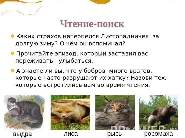 Каких страхов натерпелся листопадничек за долгую зиму. Страхов натерпелся листопадничек за долгую зиму. о чём вспоминал листопадничек зимой. пересказ листопадничек. путешествие листопадничка план.