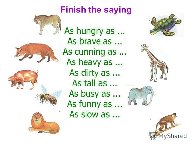 Выражение as as. Стих на английском языке про жирафа. As tall as can be. Лютый фотошоп от джеймса фридмана. The yellow giraffe.