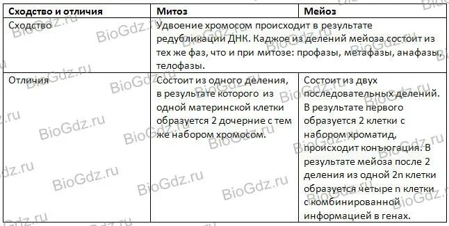 Сравнение митоза и мейоза таблица. Сходства и отличия митоза и мейоза таблица. Сходства и различия митоза и мейоза. Сходства и различия митоза и мейоза в таблице. Различия митоза и мейоза таблица.