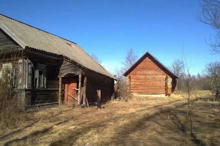 Ленинградская лпх