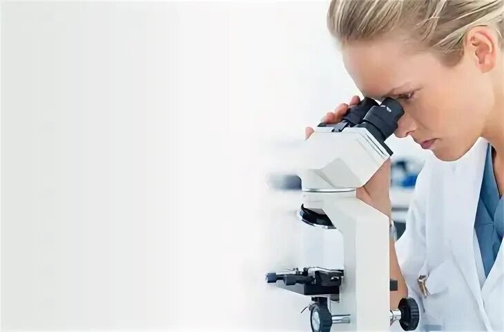 кожный диспансер чебаркуль. квд 29 телефон. кожно венерологический диспансер химки ул. новочеркасский проспект 29/10 квд. квд 29 телефон.