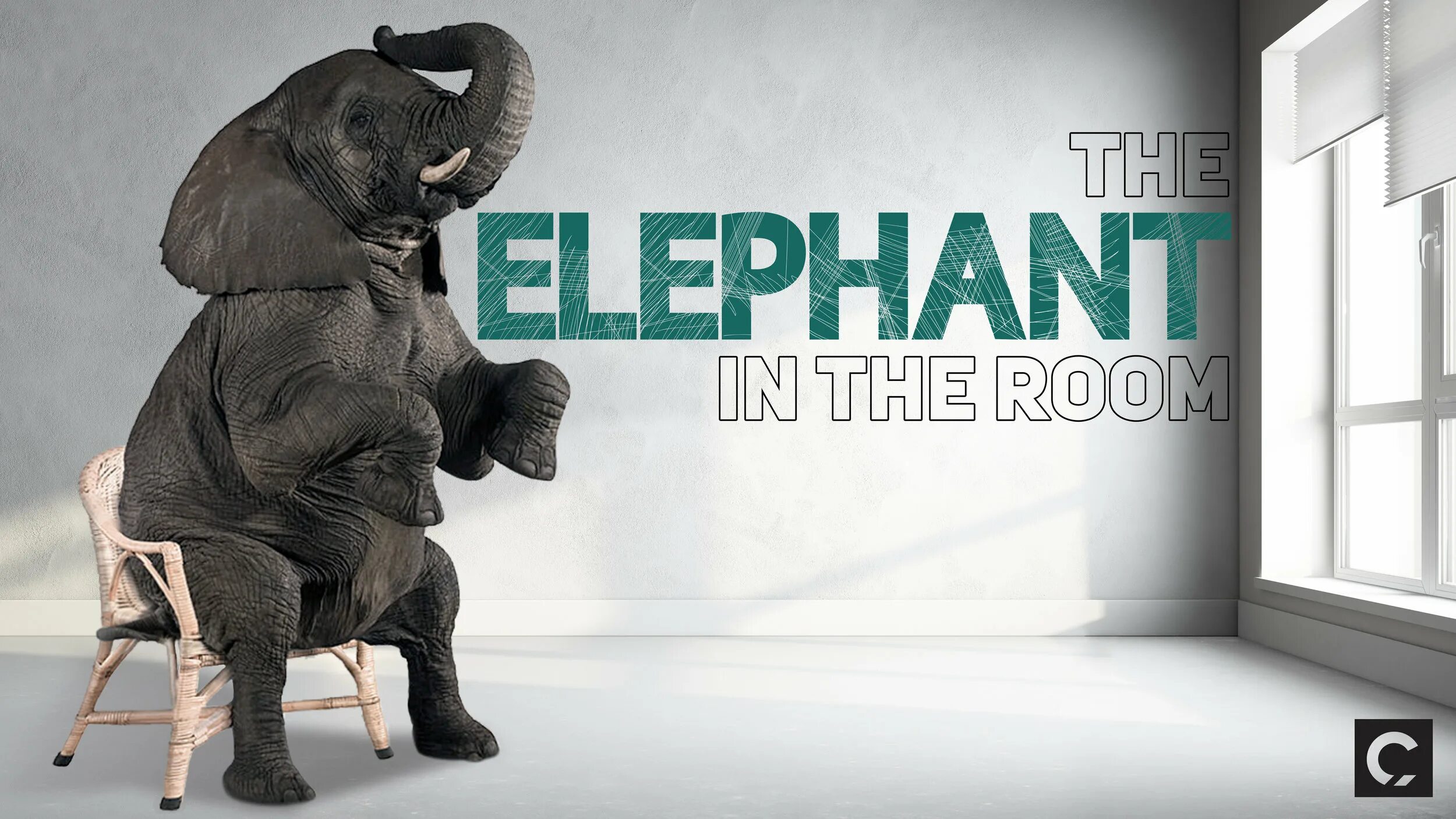 Elephant in the Room. Elefant in the Room. Confetti Elephant in the Room. Elephant in the Room идиома.