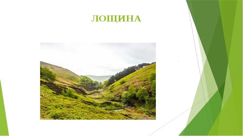 Неглубокий овраг. Ложбина между холмами. Ложбина и лощина. Лощина рельеф. Лощина форма рельефа.