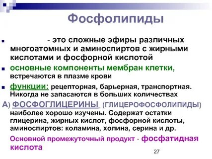 Фосфолипиды это