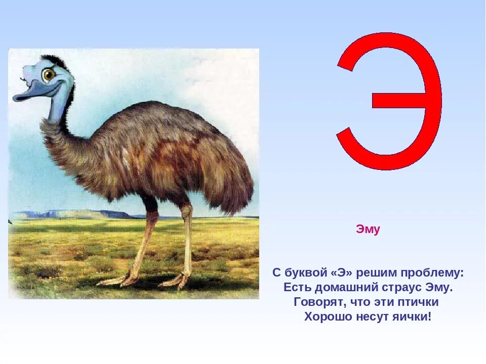 Животное на букву э. Птица на букву э похожая на страуса. Птица на букву э. Зверь на букву э. Страус согласные звуки