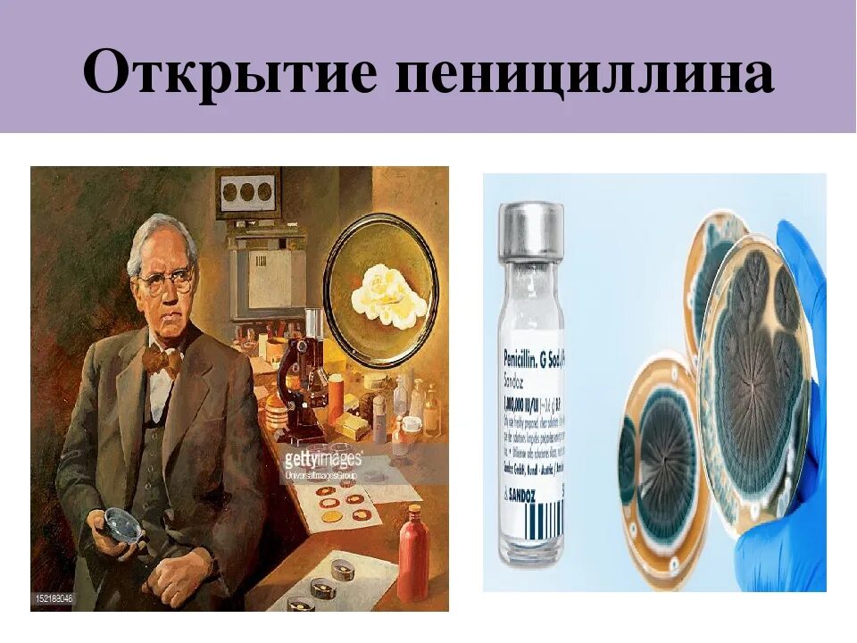 Когда изобрели пенициллин в каком году. Флеминг пенициллин открытие. пенициллин открытие 20 века. флеминг пенициллин презентация. в 1928 г. александр флеминг открыл пенициллин.