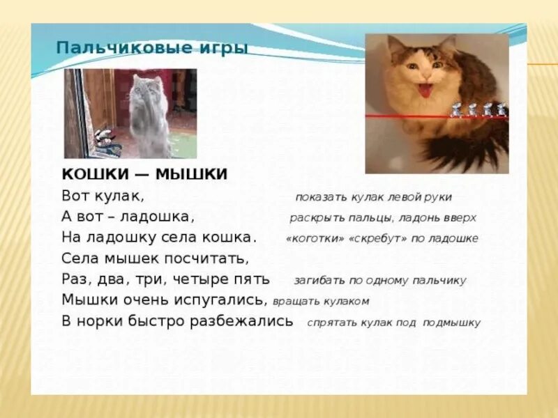 Пальчиковая гимнастика кошка на ладошке