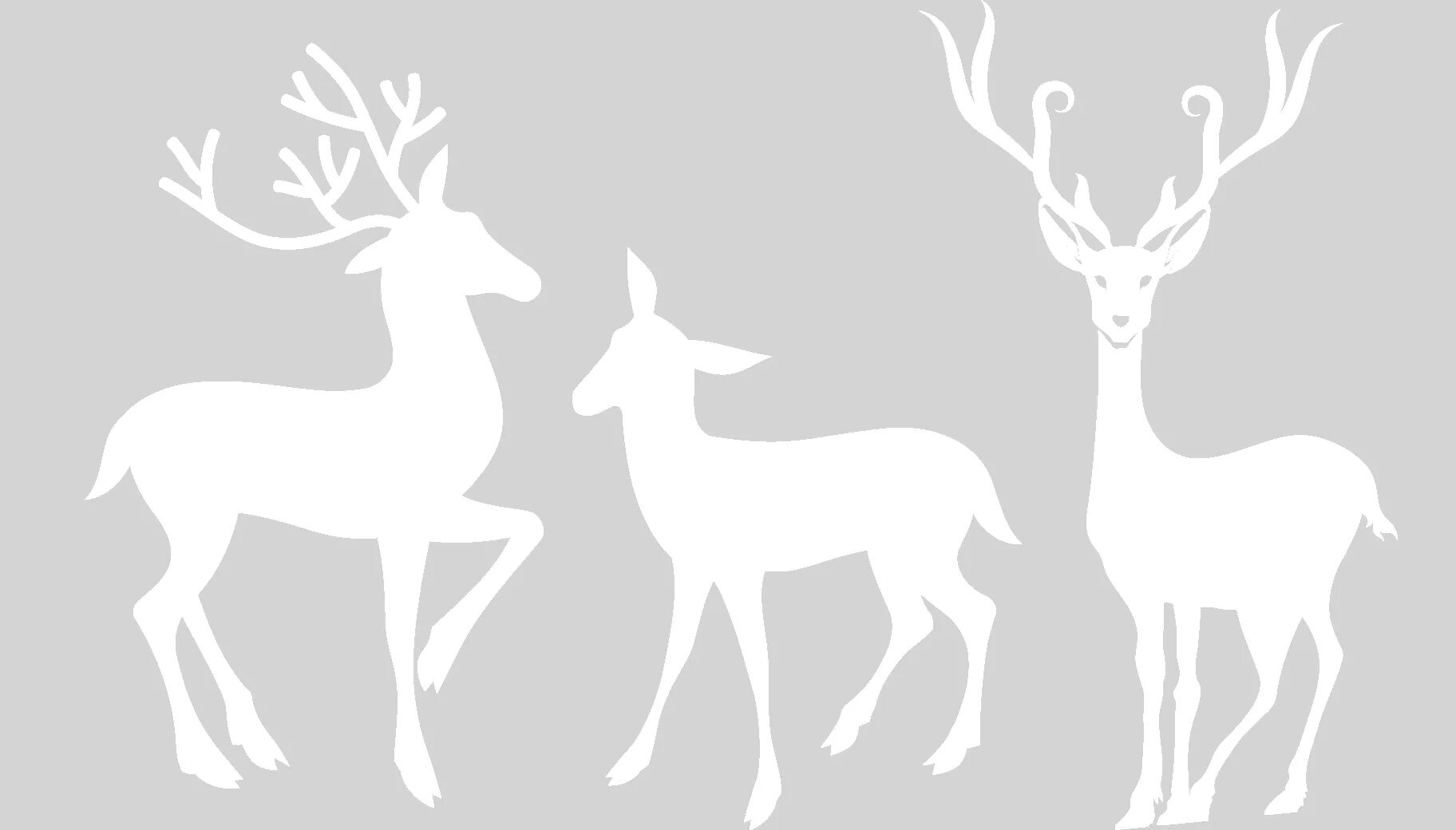 белые картинки на окно. белые картинки на окно. белые картинки на окно. украшения на окна из бумаги. белые картинки на окно.