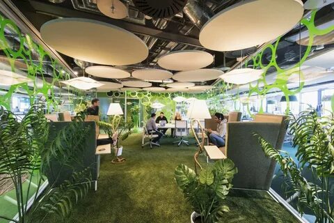 Environment google