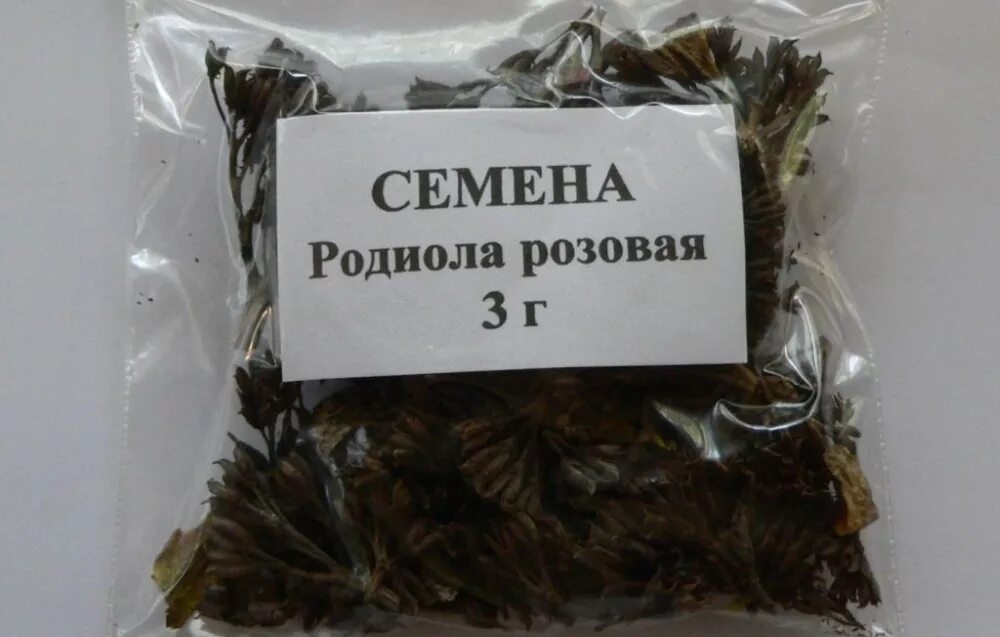 Семена родиолы розовой. Корневища родиолы розовой. Золотой корень семена.