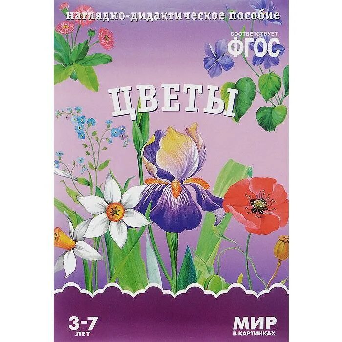 Цветы по фгос в старшей. Дидактический материал полевые цветы. Комнатные растения в старшей группе детского сада. Цветы по фгос в старшей. Растения в младшей группе.