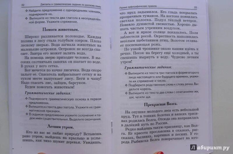 Диктант люди всегда стремились разгадать 6 класс. Диктант пруд. Диктант на опушке леса. На опушке молодого леса есть пруд диктант.