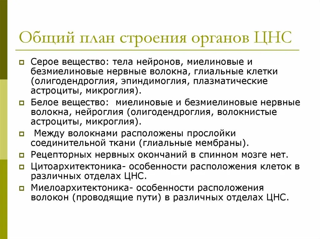 Общий план строения ЦНС кратко. Общий план строения нервной системы схема. 2. Общий план строения и отделы ЦНС.. Общий план строения центральной нервной системы. Функции центрального отдела нервной системы