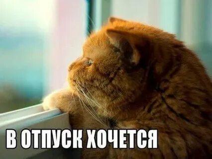 Ждем десятую