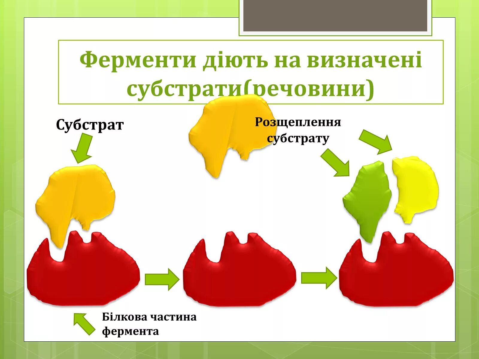 Субстрат представители. Субстрат фермента это. субстрат в языкознании схемы. субстрат вода у фермента. субстрат rh.