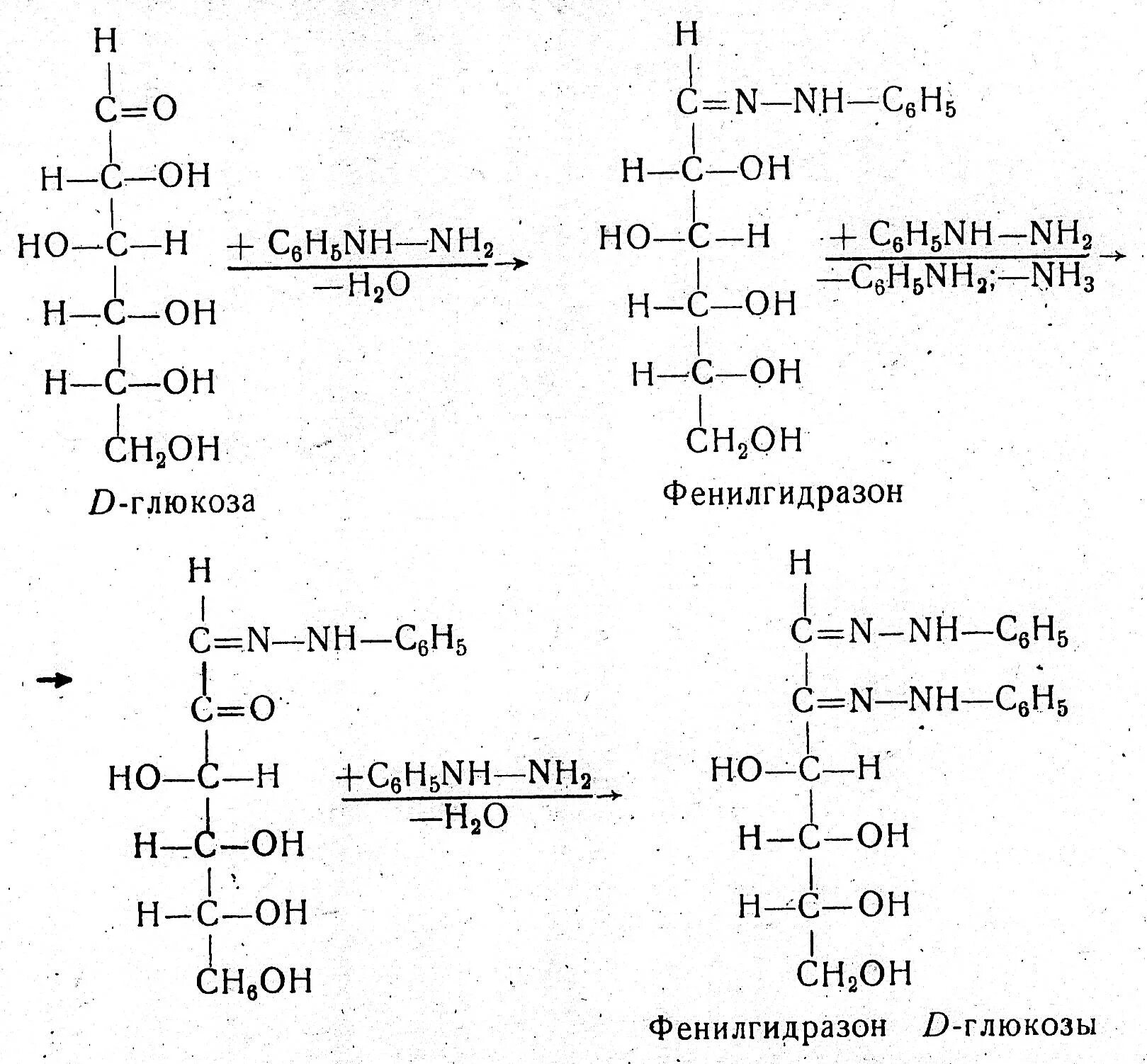 Глюкоза + Фенилгидрат реакция. Взаимодействие фруктозы с фенилгидразином. Д Глюкоза и Фенилгидразин. Глюкоза Фенилгидразин реакция. Фруктоза селиванова