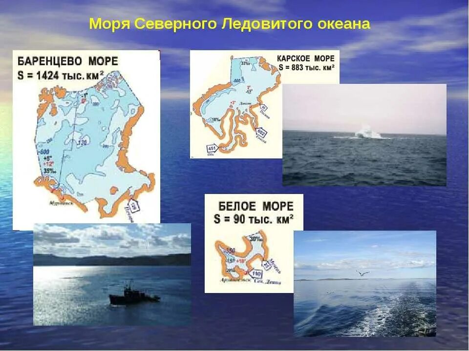 Особенности морских течениях ледовитого океана. Моря Северного Ледовитого океана. Северног- оедовитого океан моря. Моря омывающие северно Ледовитый океан. Моря которые относятся к Северному Ледовитому океану.